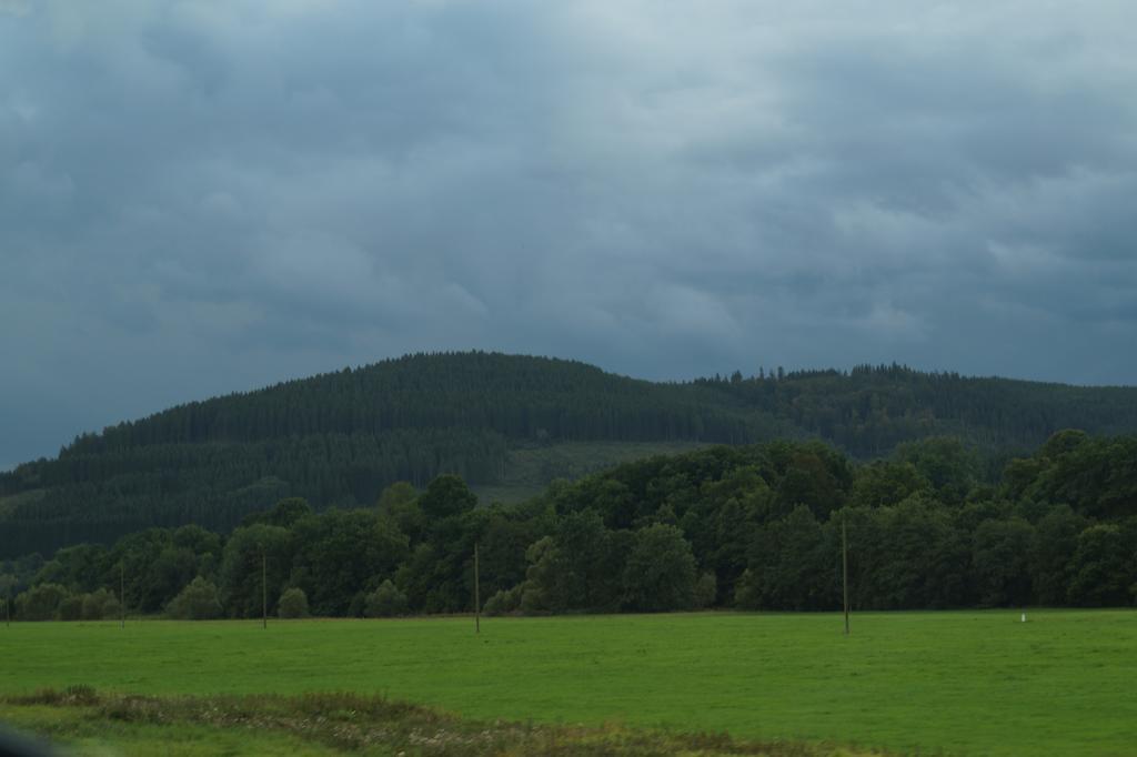 Landgasthof Restaurant Laibach Bad Berleburg Bagian luar foto